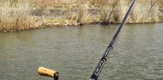 2月26日 琵琶湖 シャロー打ち 写真