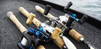 琵琶湖釣行 2017年2月18日 写真