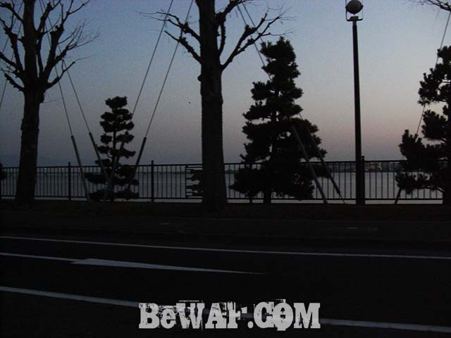 琵琶湖ガイド 3月6日 写真