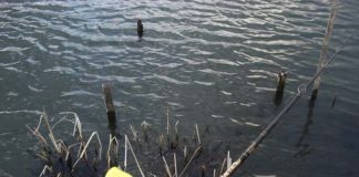 3月11日 琵琶湖 おかっぱり新規開拓 写真