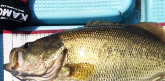 2017年3月23日 赤野井クランク釣果写真