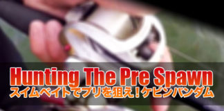 スイムベイトでプリスポーンを狙う ケビンバンダム 写真
