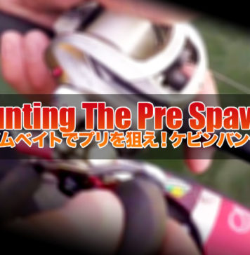 スイムベイトでプリスポーンを狙う ケビンバンダム 写真