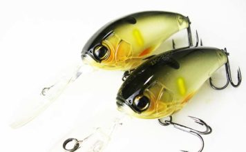 瀬田川へ (2017年 3月26日) IK-250購入