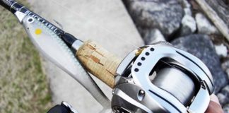 2017年 3月27日 瀬田川へ 写真