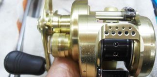 シマノ カルカッタコンクエスト写真