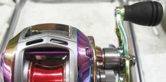 アブ レボ オーロラ 右 洗浄 写真