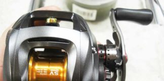 ダイワ スティーズ SH オーバーホール写真