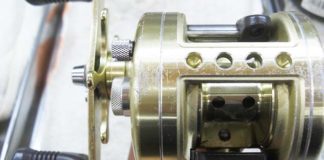 シマノ カルカッタ 101 洗浄 写真