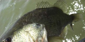 2017年 4月30日 琵琶湖へ ゴールデンウィークスタート写真