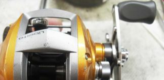 ダイワ リベルトピクシー オレンジアンバー 写真