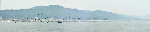 2017年 NBCチャプター琵琶湖 第2戦 参戦日記 写真