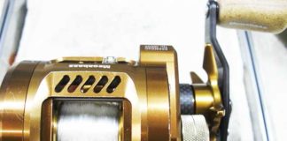 ダイワ メガバス LIN 10C オーバーホール写真