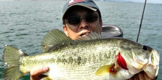 琵琶湖バスフィッシングガイドリポート ゴールデンウィーク釣り方 写真