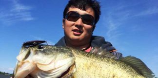 お客様からの釣果 2017年6月7日 写真