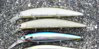 2017年6月1日 瀬田川 ミノーでチェイス多数 写真