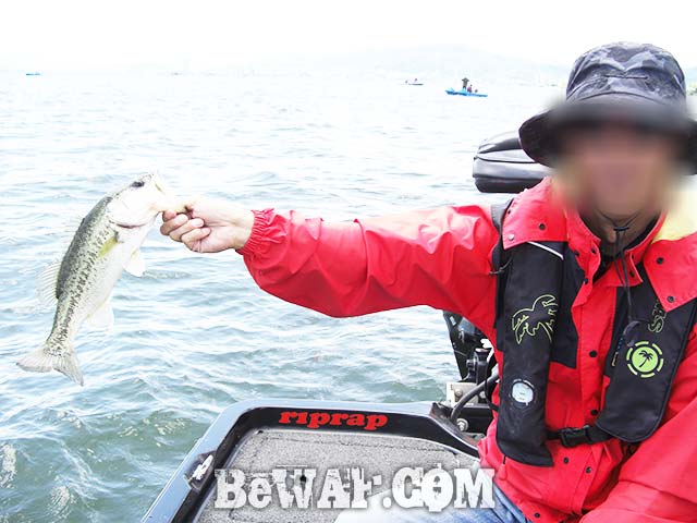 琵琶湖バスフィッシングガイドリポート 2017年 デカバス釣果写真