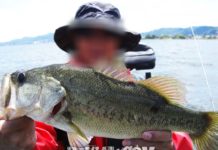 琵琶湖バスフィッシングガイドリポート 2017年 デカバス釣果写真