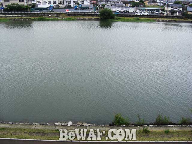 琵琶湖おかっぱり 志那 BIYOセンター葉山川の紹介 写真