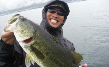 琵琶湖 ６月７月トップの釣りガイドブログ写真