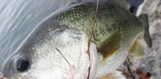 リップラップ おかっぱり大会2017 参加 写真