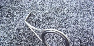 6月22日 瀬田川へ アタリがコツコツ 写真