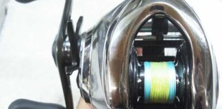 シマノ 16 アンタレスDC オーバーホール写真