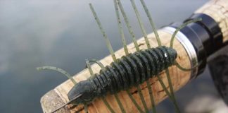 2017年7月13日 瀬田川へ 三原虫でポコポコ 写真