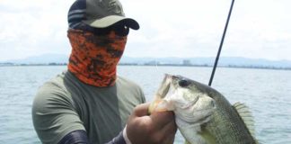 琵琶湖ガイド ７月 夏の釣果 ポイント釣り方 写真