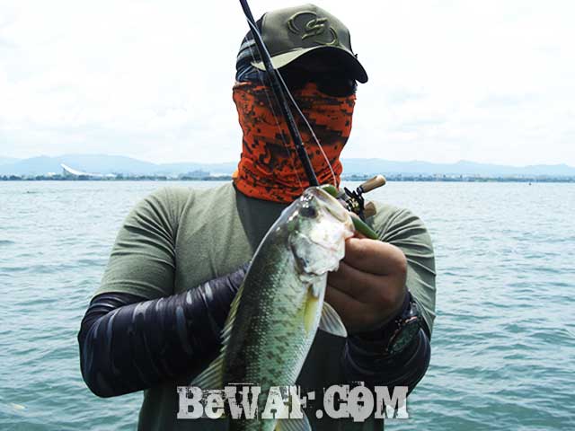 琵琶湖ガイド ７月 夏の釣果 ポイント釣り方 写真