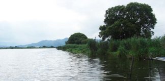 2017夏 伊庭内湖 釣果情報 ブログ 写真