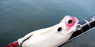 フロッグ溶剤 チューン 写真