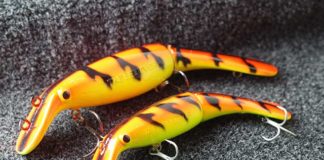 2017年7月5日 瀬田川へ ジョインテッドビリーバー 写真