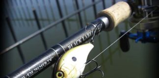 2017年7月7日 西の湖チャプタープラクティス 写真