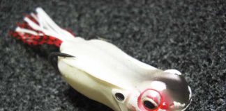 2017年7月28日 瀬田川フロッグ釣果 写真