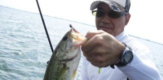 琵琶湖 ６月７月トップのガヴァチョフロッグ 釣りガイドブログ写真