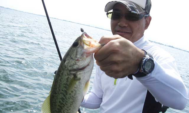 琵琶湖 ６月７月トップのガヴァチョフロッグ 釣りガイドブログ写真