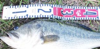 2017年7月7日 ウィグルワート釣果写真