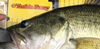 お客様からの釣果 7月写真