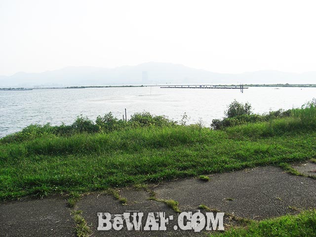 琵琶湖おかっぱり タイニークラッシュ釣果 写真