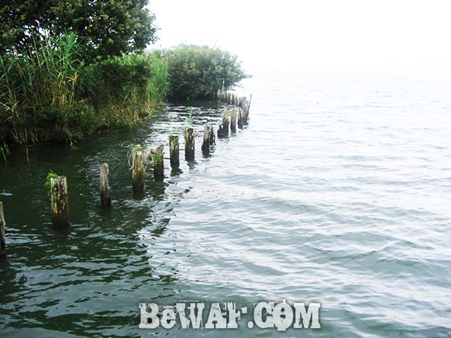 琵琶湖ラバージグ デカバス釣果写真