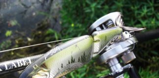 琵琶湖おかっぱり タイニークラッシュ釣果 写真