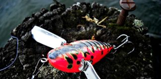 琵琶湖 アベンタクローラーRS 釣果写真