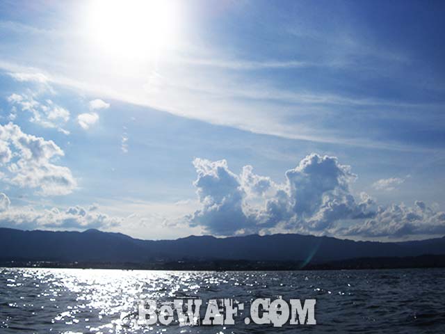 琵琶湖 8月 ベイトフィネス 釣果写真