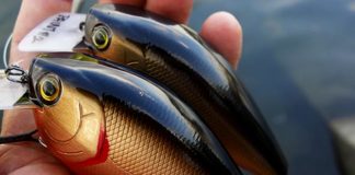 瀬田川 ビッククランク釣果 写真