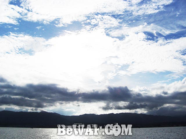 ８月 琵琶湖 パンチング釣果写真