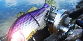 瀬田川バスフィッシング 全開放流 釣果写真