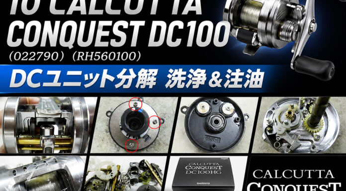 シマノ 10 カルカッタコンクエストDC100 (022790) (RH560100) DCユニット分解 写真