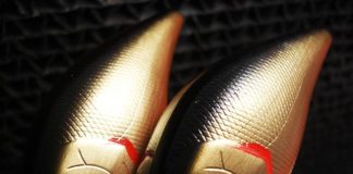 琵琶湖 フロッグ おかっぱり 釣果詳細 写真