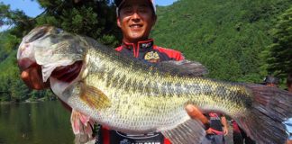 ボウワーム 12インチ ウナギリグ詳細紹介 写真